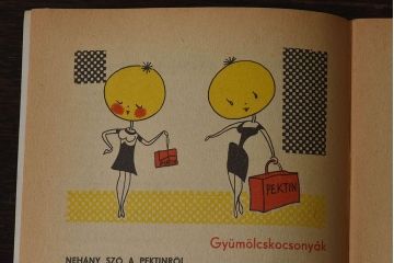 アンティーク雑貨　ビンテージ　1960年頃　ハンガリー製　レトロな雑誌(古書、英字本)(3)