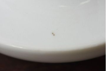 アンティーク雑貨　古民具・骨董　磁器製　梅の絵柄が素敵な銚子(急須)