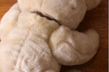 アンティーク雑貨　ビンテージ　シュタイフ社　テディベア(人形、ぬいぐるみ)