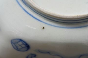 アンティーク雑貨　和製アンティーク　幕末明治期　色絵変形皿2枚セット(2)