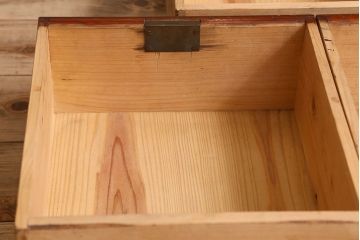 アンティーク家具　和製アンティーク　薄型　クリアガラス使用　味わい深い風合いの戸棚(収納棚、飾り棚、本箱)