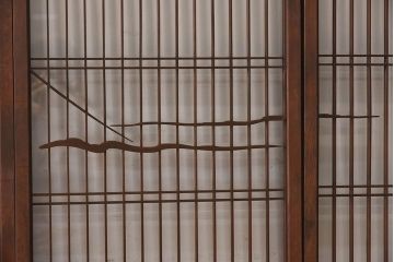 和製アンティーク　富士の図柄が魅力的な書院戸4枚セット(格子戸、ガラス戸、窓)