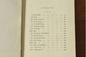 アンティーク雑貨　フランス　ネルソン(NELSON)　アンティークブック(洋書、古書、本)