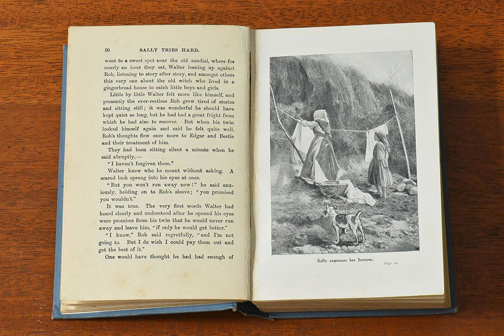 アンティーク雑貨　フランス　ネルソン(NELSON)　アンティークブック(洋書、古書、本)