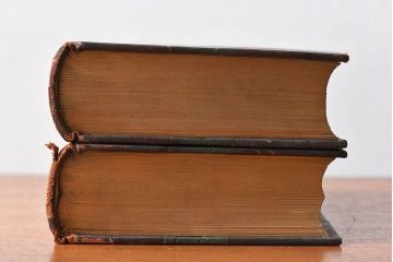 アンティーク雑貨　イギリスアンティーク　The Historians' History of the World　本(洋書、古書、英字本)2冊セット