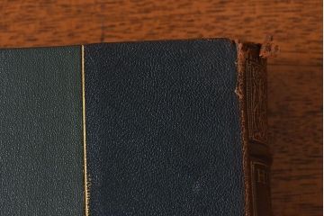 アンティーク雑貨　イギリスアンティーク　The Historians' History of the World　本(洋書、古書、英字本)2冊セット