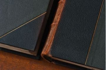 アンティーク雑貨　イギリスアンティーク　The Historians' History of the World　本(洋書、古書、英字本)2冊セット(1)