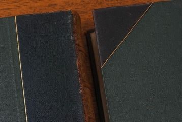 アンティーク雑貨　イギリスアンティーク　The Historians' History of the World　本(洋書、古書、英字本)2冊セット(1)