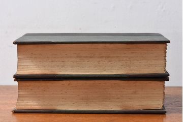 アンティーク雑貨　イギリスアンティーク　The Historians' History of the World　本(洋書、古書、英字本)2冊セット(2)