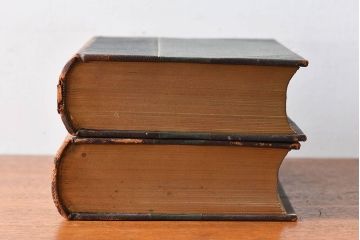 アンティーク雑貨　イギリスアンティーク　The Historians' History of the World　本(洋書、古書、英字本)2冊セット(2)