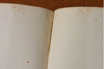 アンティーク雑貨　イギリスアンティーク　The Historians' History of the World　本(洋書、古書、英字本)2冊セット(2)