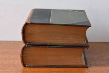 アンティーク雑貨　イギリスアンティーク　The Historians' History of the World　本(洋書、古書、英字本)2冊セット(3)