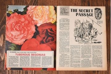 アンティーク雑貨　イギリスビンテージ　LOOK AND LEARN　週刊誌(コミック、雑誌)2冊セット(1)