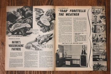 アンティーク雑貨　イギリスビンテージ　LOOK AND LEARN　週刊誌(コミック、雑誌)2冊セット(2)