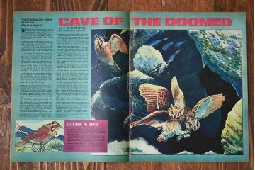 アンティーク雑貨　イギリスビンテージ　LOOK AND LEARN　週刊誌(コミック、雑誌)2冊セット(3)