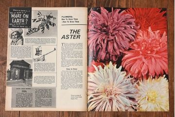 アンティーク雑貨　イギリス製　LOOK AND LEARN　ビンテージ雑誌(コミック、週刊誌)2冊セット
