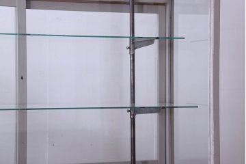 ペイント家具　落ち着きのあるナチュラルな雰囲気が魅力的なショーケース(ガラスケース、陳列棚、飾り棚)