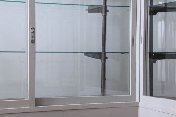 ペイント家具　落ち着きのあるナチュラルな雰囲気が魅力的なショーケース(ガラスケース、陳列棚、飾り棚)