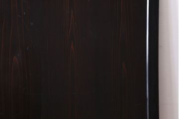 和製アンティーク　明治期　モダンな雰囲気漂う帯戸(板戸、引き戸)(1)