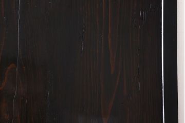 和製アンティーク　明治期　モダンな雰囲気漂う帯戸(板戸、引き戸)(2)