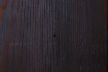 明治期　モダンな雰囲気漂うアンティーク帯戸(板戸、引き戸)