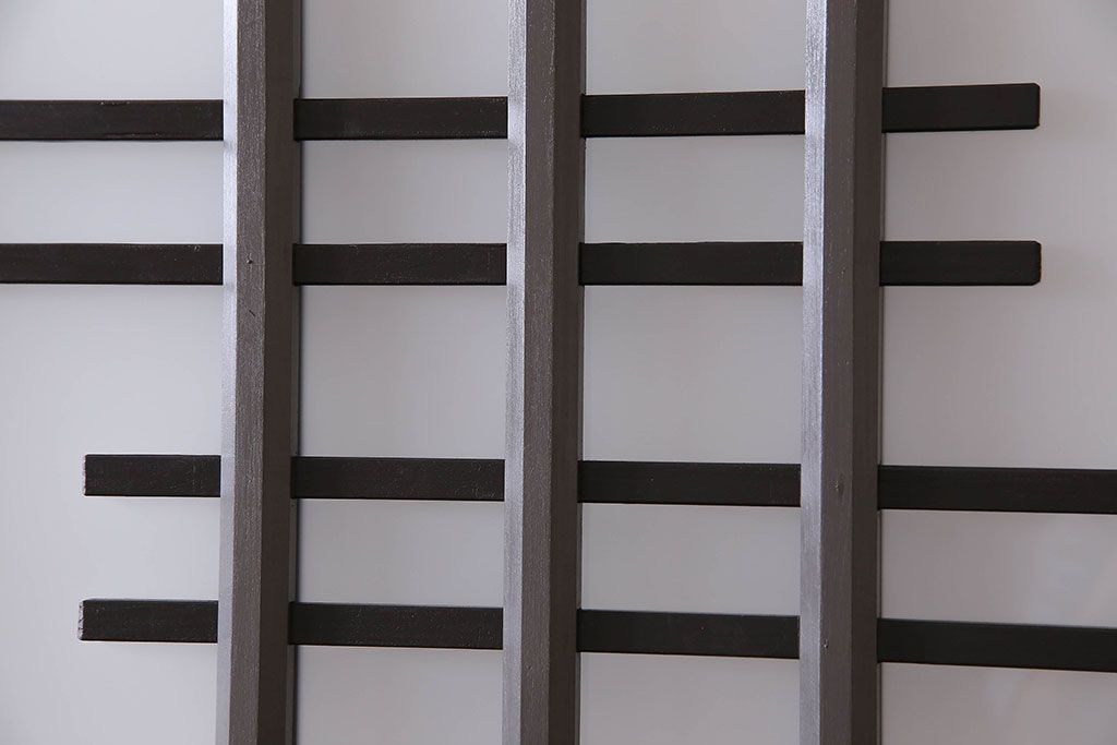 ペイント家具　変わったデザインが目を引く引き戸(ガラス戸、ガラス帯戸、建具)2枚組