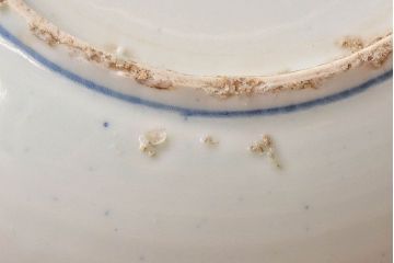 アンティーク雑貨　中国　古染付　おおらかな絵付けが魅力的な七寸皿(清朝、民窯)