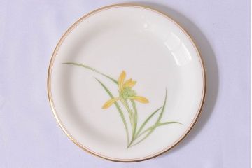 アンティーク雑貨　未使用　香蘭社　プレート(皿)5枚セット×2箱