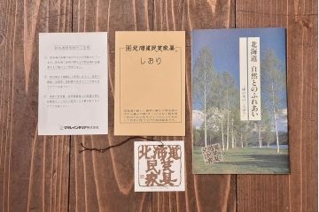 アンティーク雑貨　中古　北海道民芸家具　HM861K　小振りな電話台(キャビネット、飾り台、花台)
