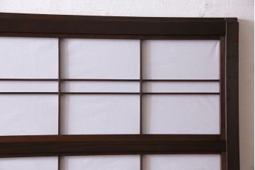 和製アンティーク　細かな格子が美しい万本格子戸(引き戸、建具、ガラス帯戸、障子戸)2枚セット(R-026944)