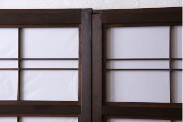 和製アンティーク　細かな格子が美しい万本格子戸(引き戸、建具、ガラス帯戸、障子戸)2枚セット(R-026944)