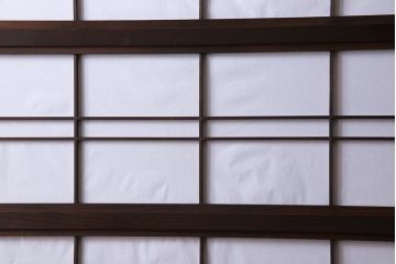 和製アンティーク　細かな格子が美しい万本格子戸(引き戸、建具、ガラス帯戸、障子戸)2枚セット(R-026944)