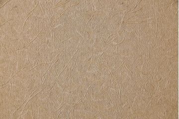 和製アンティーク　腰板ケヤキ材　帯の意匠が目を引く上質なガラス帯戸(板戸、引き戸、建具)