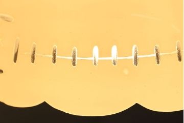 和製アンティーク　カットガラスがおしゃれなシェード(ペンダントライト、シーリングライト)