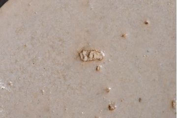 アンティーク雑貨　人間国宝　松井康成　釉薬の質感が印象的な茶壺(共箱)