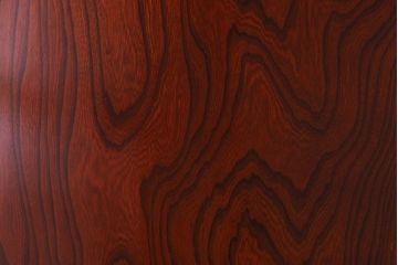 昭和期　ケヤキ材の杢目が存在感を放つガラス帯戸(引き戸、建具)2枚セット