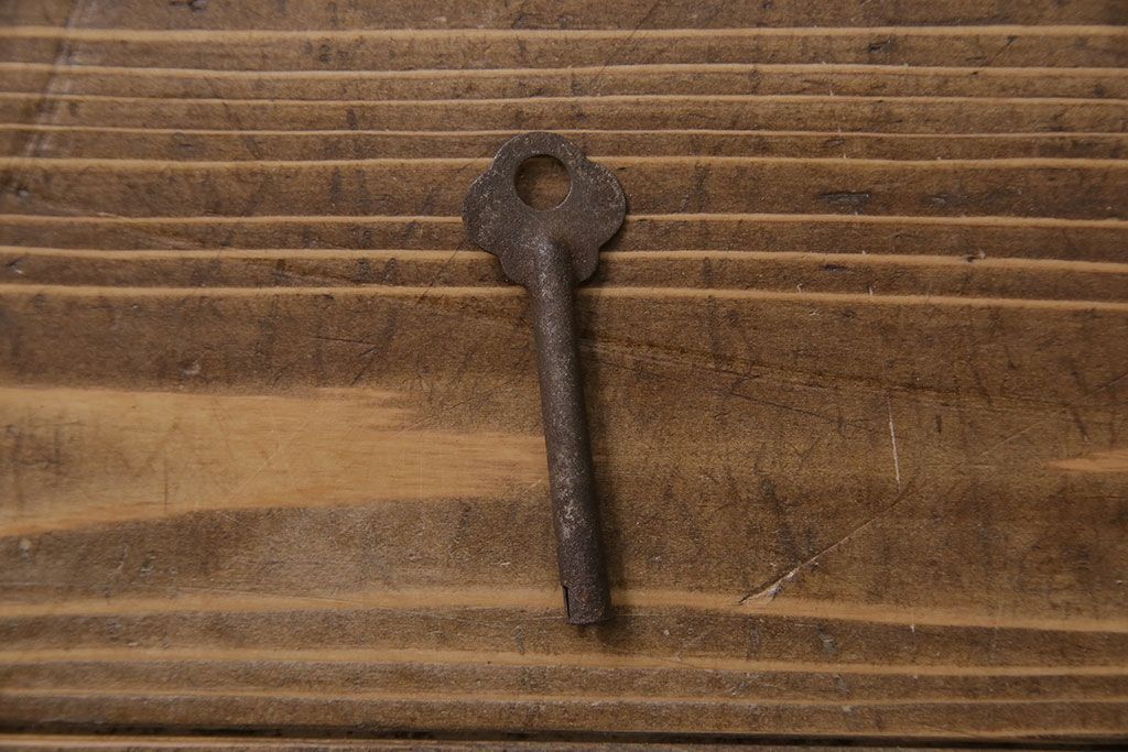 ペイント家具　落ち着いた色合いの扉付き本棚(ブックケース、戸棚、収納棚)