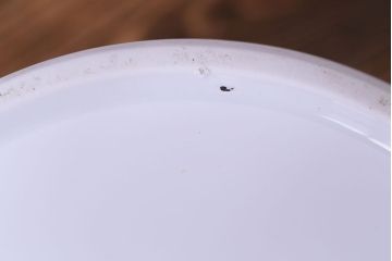 アンティーク雑貨　【F様ご成約済み・ご決済用】オールドノリタケ(日陶)　色絵　草花　上品な雰囲気漂う壱型火鉢(手あぶり、鉢カバー)