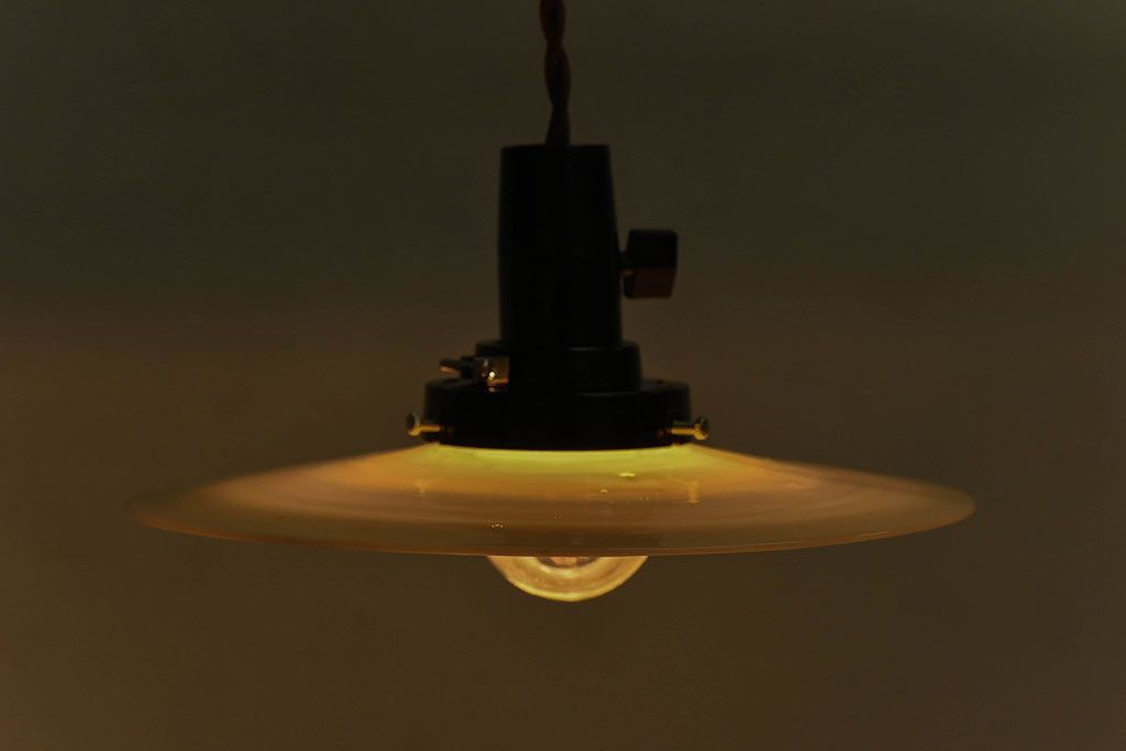 昭和レトロ　昔懐かしい魅力のある平笠シェード(天井照明、ペンダントライト)(2)