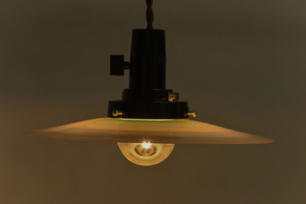 昭和レトロ　昔懐かしい魅力のある平笠シェード(天井照明、ペンダントライト)(3)