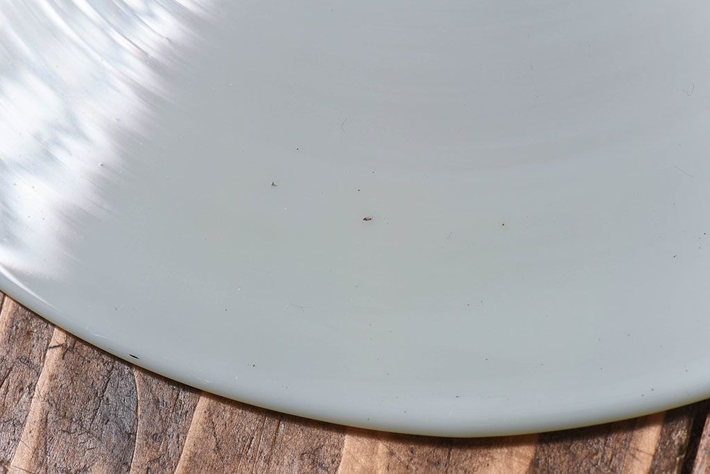 昭和レトロ　昔懐かしい魅力のある平笠シェード(天井照明、ペンダントライト)(3)