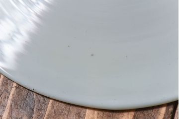 昭和レトロ　昔懐かしい魅力のある平笠シェード(天井照明、ペンダントライト)(3)