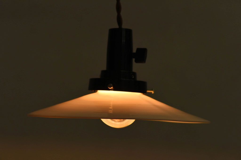 昭和レトロ　昔懐かしい魅力のある平笠シェード(天井照明、ペンダントライト)