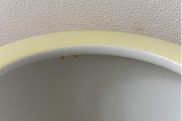 アンティーク雑貨　ノリタケ・則武(日陶)　昭和初期　鮮やかな牡丹が美しい火鉢(鉢カバー)(1)