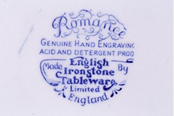 イギリス　Iron stone(アイアンストーン)　可憐な絵柄のディナープレート(大皿、洋食器)(1)