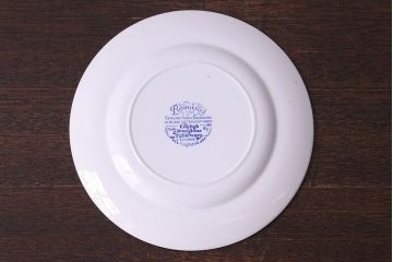 イギリス　Iron stone(アイアンストーン)　可憐な絵柄のディナープレート(大皿、洋食器)(3)