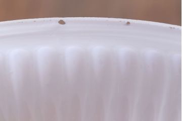和製アンティーク　乳白色のプレスガラスがレトロな雰囲気のペンダントライト(天井照明)