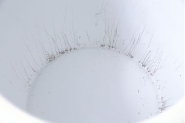 アンティーク雑貨　ノリタケ・則武(日陶) 　和の雰囲気漂う松の図の火鉢(手あぶり、鉢カバー、ディスプレイ)(1)(R-027650)