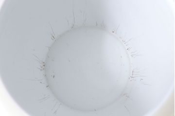アンティーク雑貨　ノリタケ・則武(日陶) 　和の雰囲気漂う松の図の火鉢(手あぶり、鉢カバー)(2)