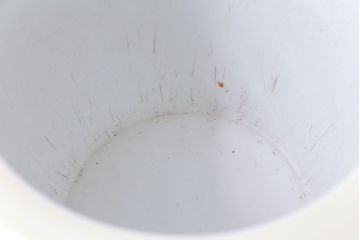 アンティーク雑貨　ノリタケ・則武(日陶) 　和の雰囲気漂う松の図の火鉢(手あぶり、鉢カバー、ディスプレイ)(3)(R-027652)